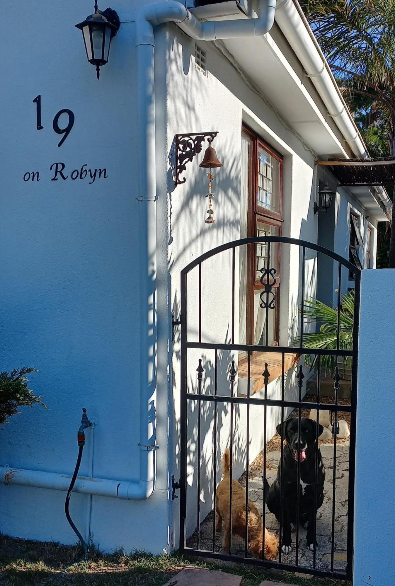杜班维尔19 On Robyn公寓 外观 照片